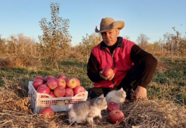 На свои средства житель Уральска заложил яблоневый сад, и сейчас у него более 200 сортов