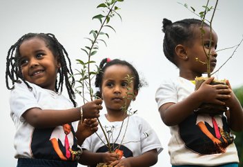 Бір тәулікте бір елде 350 млн ағаш отырғызылды