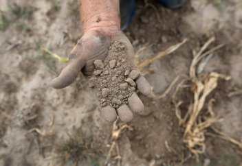 ӘЛЕМ ЕЛДЕРІ ҚҰРҒАҚШЫЛЫҚПЕН КҮРЕСІП ЖАТЫР