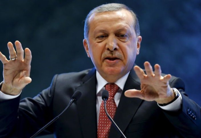 Эрдоган заявил о новых месторождениях газа в Турции
