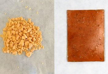 Бактериялар шексіз өңдеуге болатын пластмасса жасауға қабілетті