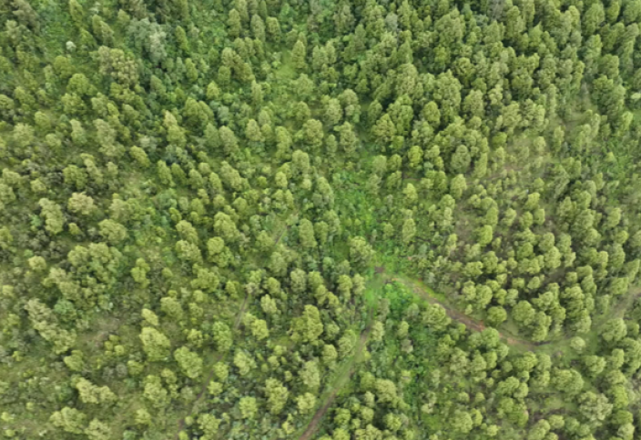 Инициатива «Зеленое наследие» способствует сохранению биоразнообразия и продовольственному суверенитету: EBI