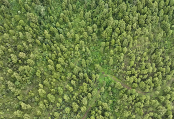 Инициатива «Зеленое наследие» способствует сохранению биоразнообразия и продовольственному суверенитету: EBI