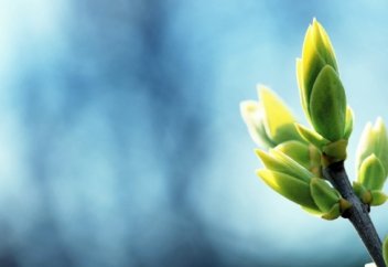 Иман керек...