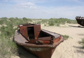 56 тыс. гектаров саксаула высажено на дне Аральского моря