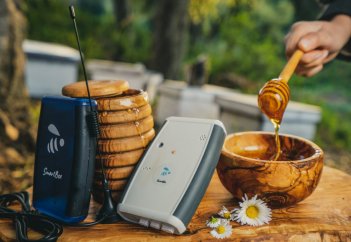 От спасения пчел до предупреждения о приступе: 4 невероятно крутых тунисских стартапа