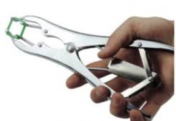 Кастрация қартаю процесін тежейді – зерттеу