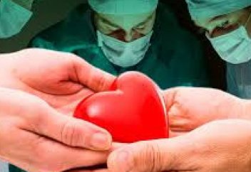 Как дать согласие или отказаться от посмертного донорства органов