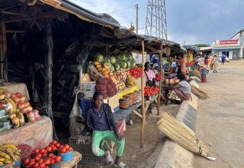 Почему важно работать с неформальной экономикой, а не против нее: некоторые уроки Зимбабве