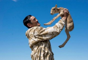 Биыл киіктердің саны 62 400 басқа көбейді