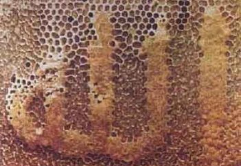 Знамения Аллаха