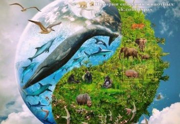 Жануарларды адаммен "теңестіретін" заң қабылданды