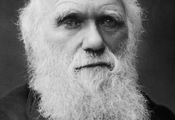 Жалған ілім немесе оқулықтағы олқылық