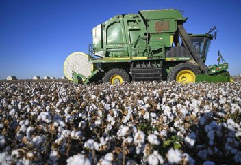 После многих лет санкций США, как обстоят дела в экономике Синьцзяна?