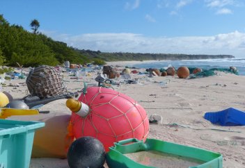 Найден самый загрязненный необитаемый остров