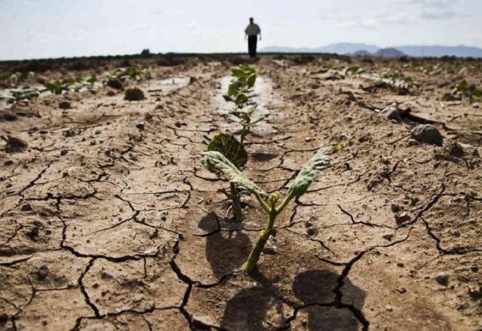 Тихий кризис: более миллиарда жителей Земли страдают от снижения урожайности из-за деградации земель