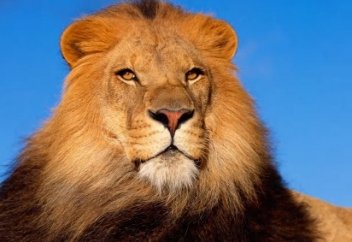 Күле отырайық....