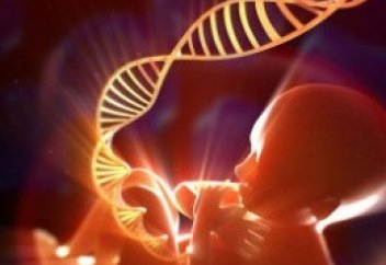 Гормондық терапия Дауна синдромы бар адамдардың конгнитивті қабілетін жақсартты