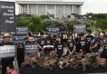 Кәрістер ит етінен бас тартып жатыр: Сеулдегі соңғы ит қасапханасы жабылды