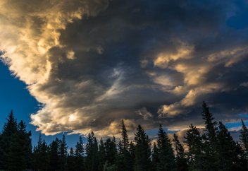 Орман жердегі ауа температурасын 15%-ға салқындатады