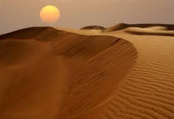 Видео: динозавры, киты и люди — почему из пустыни Сахара ушла жизнь