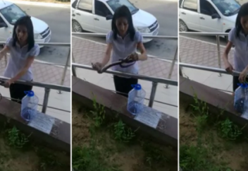 Девушка из Актау "упаковала" змею в бутылку (видео)