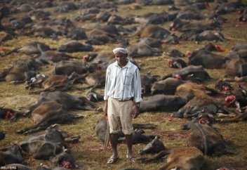 Әлемде осындай да сұмдық бар!