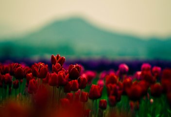 Оразамды рамазанның екінші күнінен бастасам, кәфәрәт өтеуім керек пе?