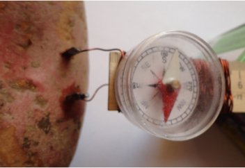 Sasapost (Египет): самые странные способы производства электроэнергии