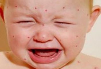 Еуропаға барғысы келетіндер назарына: кәрі құрлықты індет жайлап барады