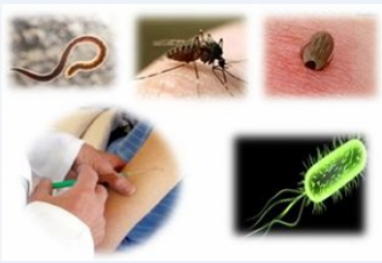 Биологиялық қару