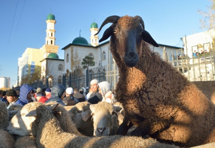 В Австрии хотят запретить ритуальный забой скота