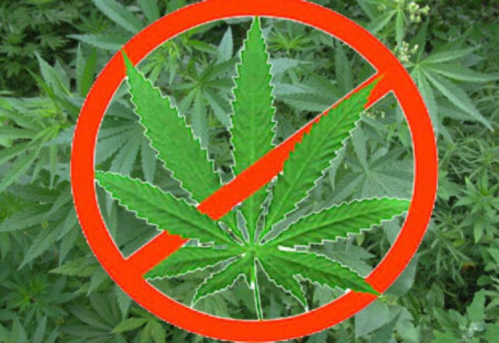 Мусульмане Таиланда выступили против противоречащих исламу законов