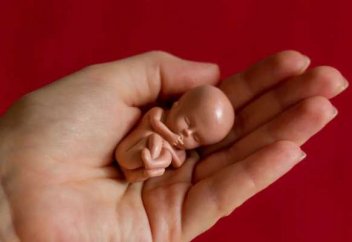 153 елдің арасында Қазақстан түсік жасатудан 3-ші орыннан көрінді