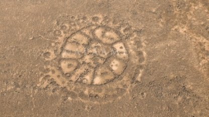 Таинственные сирийские пустынные "колеса" поставили ученых в тупик