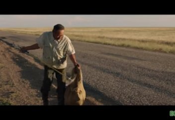 Ең үздік әлеуметтік жарнама белгілі болды (видео)