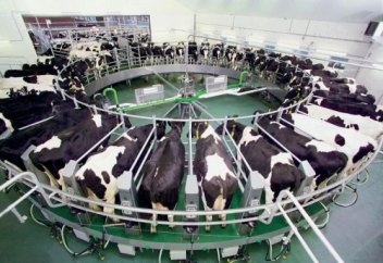 Мал шаруашылығының келешегі кооперацияда