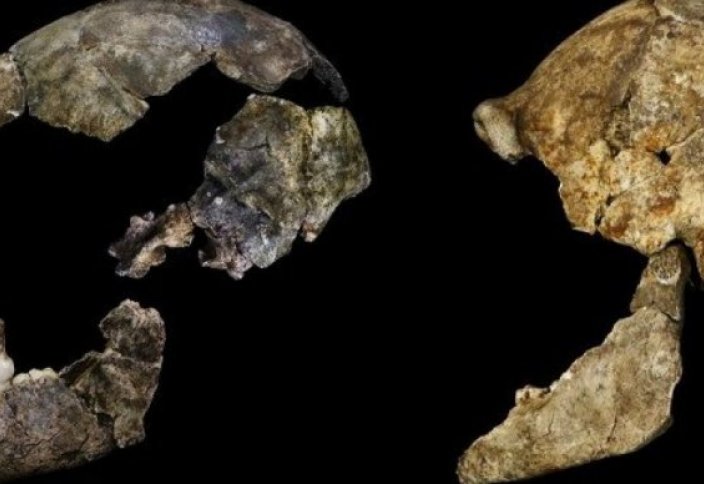 Әдемі тік пенис