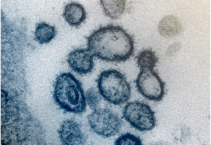 Все о короновирусе: Новый штамм коронавируса стал менее заметным для иммунной системы – учёные
