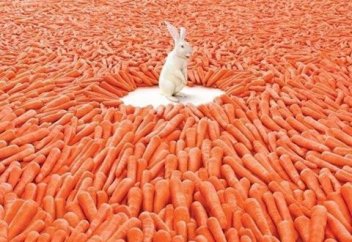 Жалғыздықтың ең басты қатері анықталды