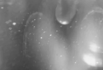 Микропластик бактерияның төзімділігін 30 есе арттырады