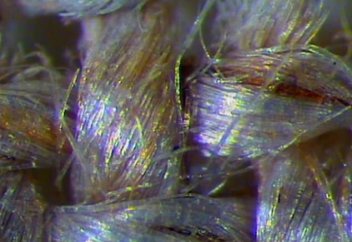 Учёные утверждают, что прорывной световой эксперимент доказывает воскресение Иисуса