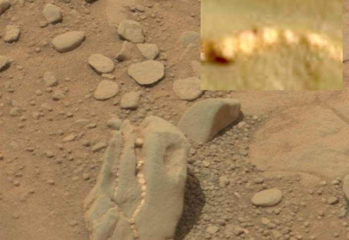 Странная находка на Марсе… череп динозавра? (видео)