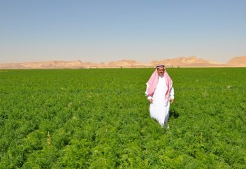 Саудовская Аравия запустила проект по предотвращению лесных пожаров