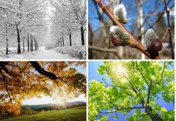 Времена года