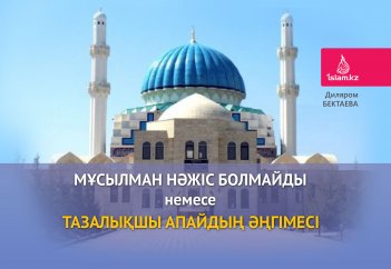 Мұсылман нәжіс болмайды немесе  тазалықшы апайдың әңгімесі