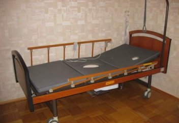 Болашақта қазіргі жасөспірімдердің 80%-дан астамы дімкәс болады