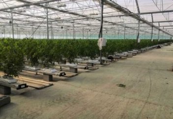 Алматыдан Шымкентке қоныс аударған жас кәсіпкер «Taza Onim» қожалығын қалай құрды