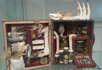 Араб кеденшілері 3 жылда 35 рет контрабандалық қара сиқырдың жолын кесті