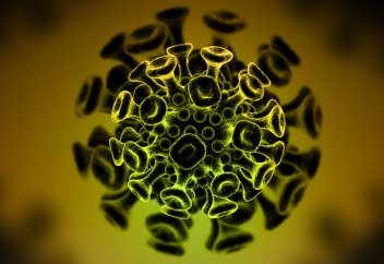 Структура ВИЧ впервые расшифрована полностью